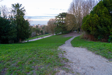 Path through a serene park in late afternoon light