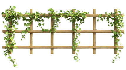 Naklejka premium Wooden fence with ivy transparent background