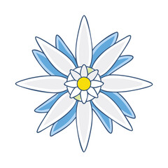 edelweiss flower vector icon, edelweiss flower vector illustration - simple illustration of edelweiss flower, perfect for logos edelweiss flower 
