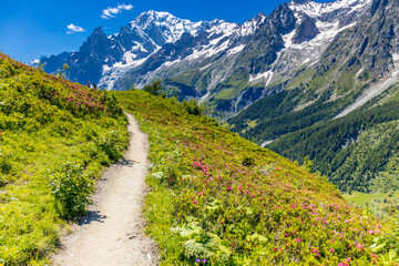 Fototapeta premium Val Ferret mountain landscape in the Alps. Beautiful alpine scenery of the high mountain summits and green valley in summer under blue sky at sunny weather om Tour du Montblanc