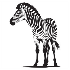 Elegant Black and White Zebra Silhouette