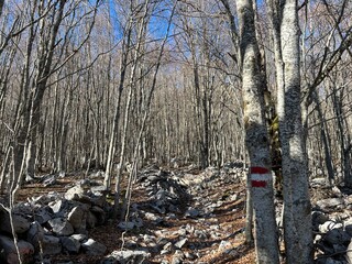 Premuzic hiking trail or Premuzic Trail - Northern Velebit National Park, Croatia or Premuzic-Wanderweg or Premuzic's Trail (Pješački planinarski put Premužićeva staza - NP Sjeverni Velebit, Hrvatska)