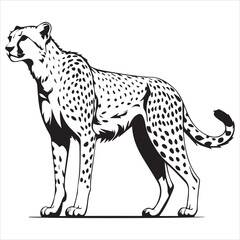Majestic Cheetah Silhouette in Black and White