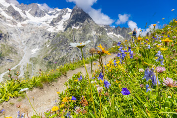 Val Ferret mountain landscape in the Alps. Beautiful alpine scenery of the high mountain summits...