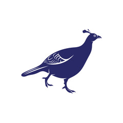 Monal himalayan design vector illustration. Monal himalayan Silhouette. Bird design template.