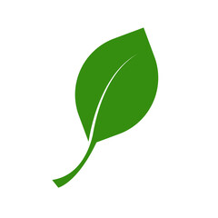 Green leaf icon