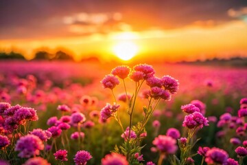 Fototapeta premium Miniature Pink Flower Field at Sunset, Tilt-Shift Photography