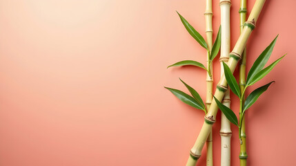 Naklejka premium Serene Bamboo Shoots on Coral: A tranquil scene of nature's elegance, perfect for relaxation and mindfulness.