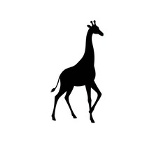Fototapeta premium Black Silhouette of a Giraffe Icon Illustration on a White Background