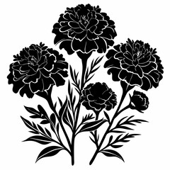 Marigold Magic Black Silhouette Vectors on White