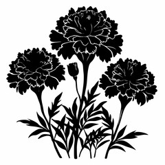 Marigold Magic Black Silhouette Vectors on White