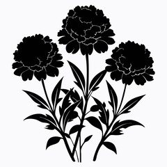 Marigold Magic Black Silhouette Vectors on White