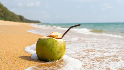 ripe coconut cocktail on a sandy beach by the sea
