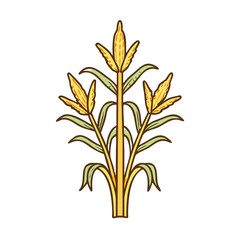 corn stalks vector icon,corn stalks vector illustration - simple illustration of corn stalks ,perfect for logos and iconscorn stalks 