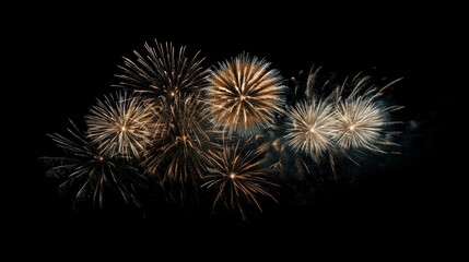 Fototapeta premium Bright fireworks illuminate the night sky with vibrant bursts of color during a festive celebration