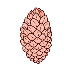 pine cone vector icon,pine cone vector illustration - simple illustration of pine cone ,perfect for logos and iconspine cone 