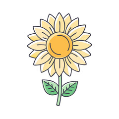 sunflower vector icon,sunflower vector illustration - simple illustration of sunflower ,perfect for logos and iconssunflower 