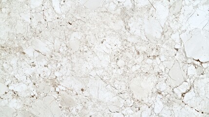 Obraz premium Exploring the elegance of smooth white marble with subtle gray veining for modern aesthetics