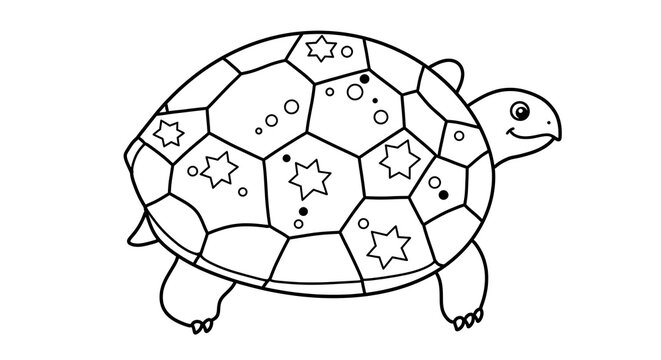 A turtle shell with a pattern of large hexagonal and pentagonal sections. Each section contains a simple design, such as a dot or a star on it.