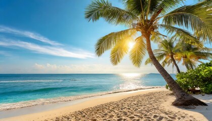 Fototapeta premium Beautiful tropical beach with palm trees, sunset beach seascape, design template for travel banner.