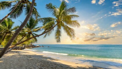 Fototapeta premium Beautiful tropical beach with palm trees, sunset beach seascape, design template for travel banner.