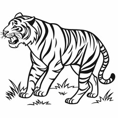  tiger illustration coloring page , coloring page for kids, animal coloring page, KDP, Animal Coloring Page For Kids,,  drawing, art, line art, clip art  
