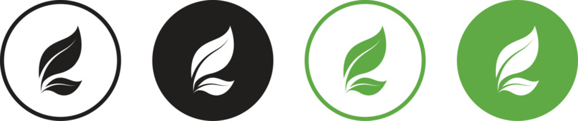 Collection of green leaf vector icons ecology. Vector illustration