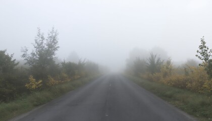 Fototapeta premium Misty Road: A Serene Autumn Morning