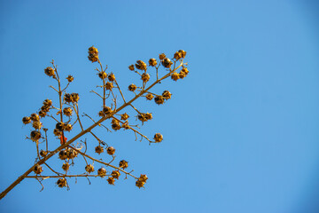 Factory, old equipment, gas filtration, technological design materials