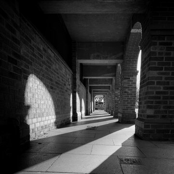 Light and shade