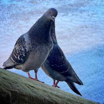 Have you got any food?