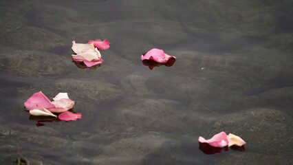 monochrome in January 2025