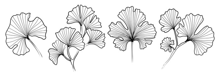 Set of Ginkgo Biloba leave line art drawing. Hand drawn black ink sketch. Modern design for tattoo, wedding invitation, logo, card, packaging. Trendy greenery vector illustration