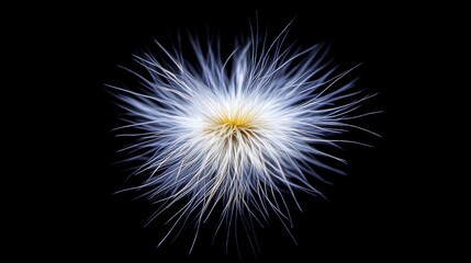 Fototapeta premium Discover the delicate beauty of a dandelion seed head in stunning detail, highlighting nature's intricate patterns and elegance.