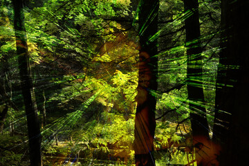 Fototapety na wymiar - Fototapeta24.pl