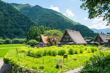 五箇山・菅沼合掌造り集落 © Mugi