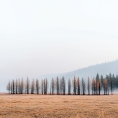 Obraz premium Serene Landscape Featuring Sparse Trees in an Expansive Field Under Soft Morning Light with Hazy Mountains in Background