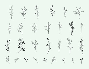 botanical set line art nature floral minimalist decoration