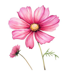 Beautiful Flower Clipart Vector Illustration - Floral Design for Graphics