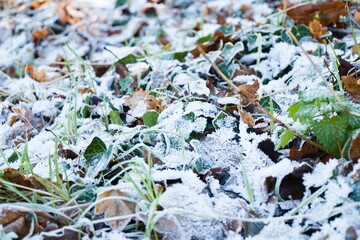 frosty ground close up