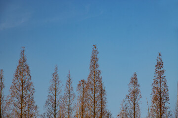 Lawn, shape, pattern, design, decoration, mountain, train