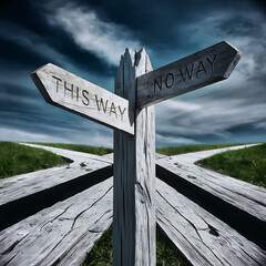 this way no way text written on wooden signpost outdoors