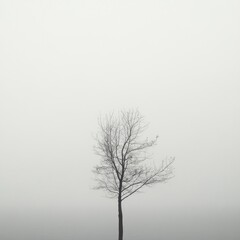 Obraz premium Lone Bare Tree in Foggy Minimalist Landscape