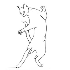 One continuous single drawing line art flat doodle cat, feline, pet, animal, cute, playing, playful. Isolated image hand draw contour on a white background
