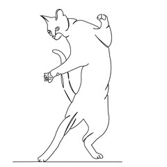 One continuous single drawing line art flat doodle cat, feline, pet, animal, cute, playing, playful. Isolated image hand draw contour on a white background
