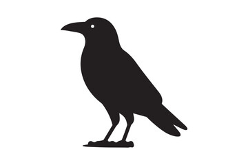 Crow vector silhouette artwork 