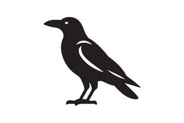 Obraz premium Crow vector silhouette artwork 