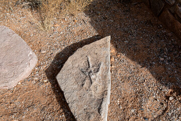 Dinosaur Tracks-Navajo National Monument