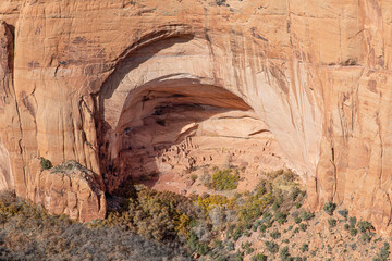 Betatakin-Navajo National Monument
