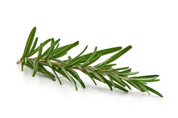 Fototapeta premium Twig of rosemary, isolated on white background.